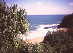 noch mehr Hawaii-Eindr&uuml;cke